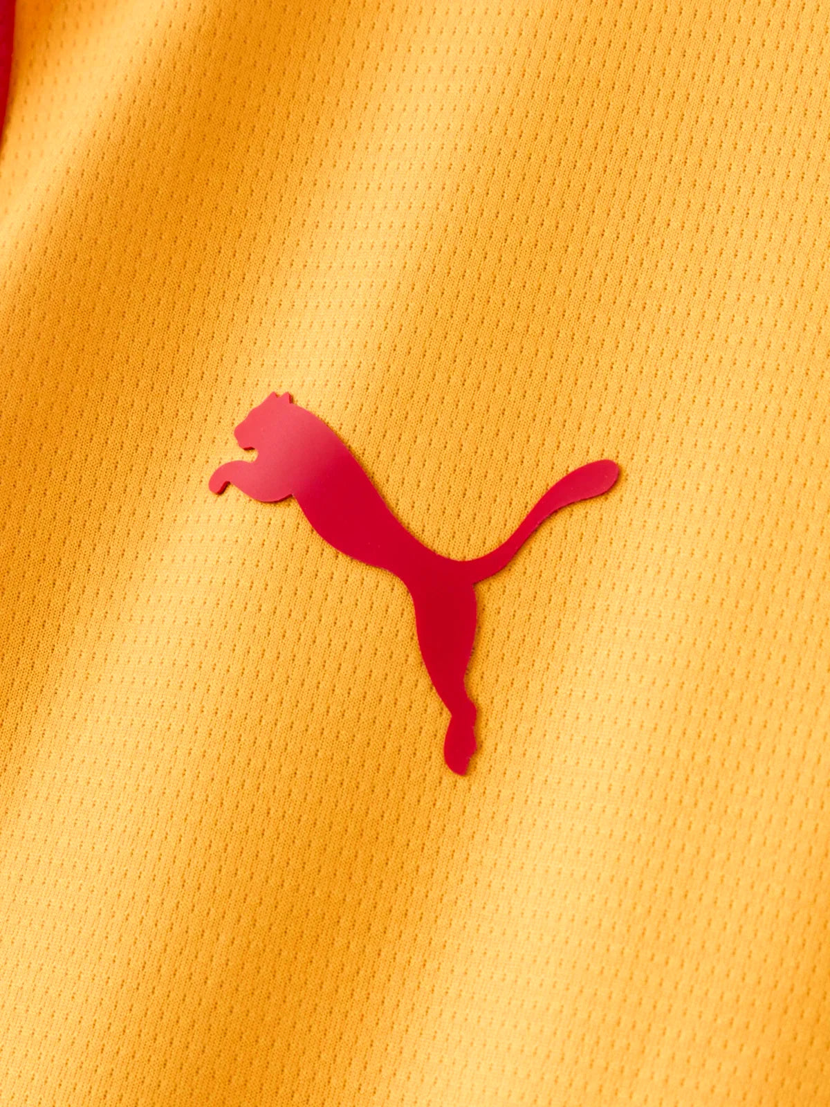 Third 26/27 Men's Fan Jersey 055
