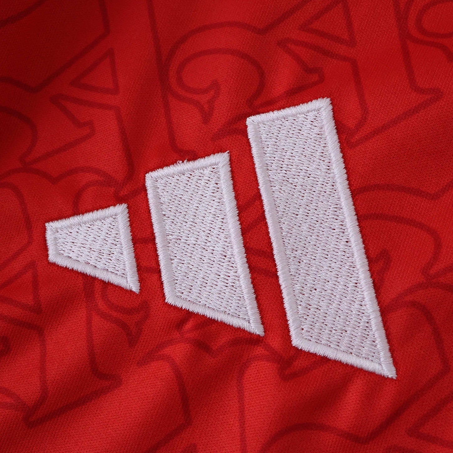 Home 25/26 Men’s Shirt