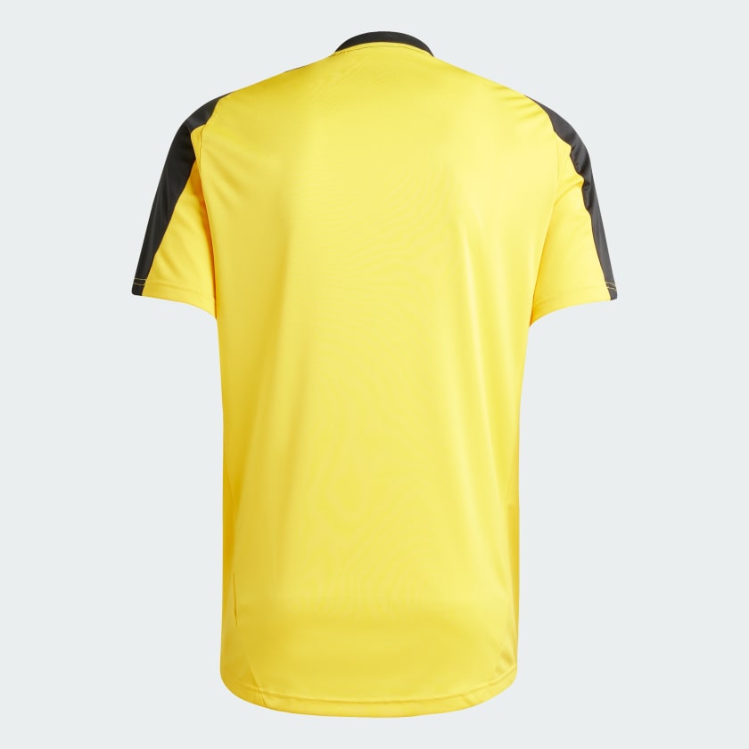 Training 24/25 Fan Shirt