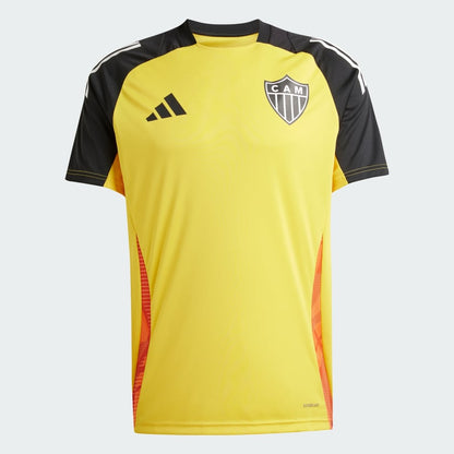Training 24/25 Fan Shirt