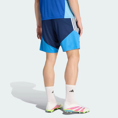 Training 26/27 Shorts