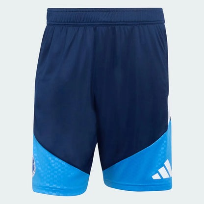 Training 26/27 Shorts