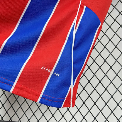 Third 25/26 Fan Jersey 202