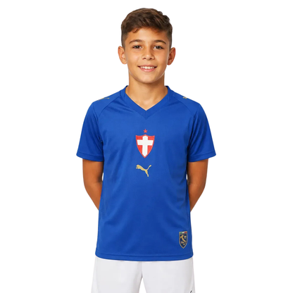 Third 26/27 Kids Shirt Kit